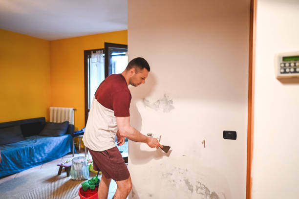 Best Local Mold Removal Service  in Vla Park, IL